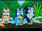 Mackenzie's messed up face error