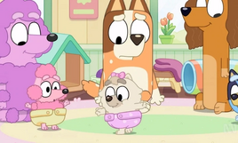 Episode