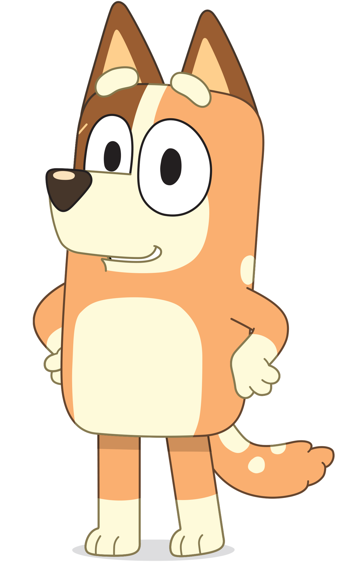 chilli-heeler-bluey-wiki-fandom