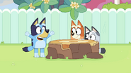 Bluey: "Let's set up a nail salon on this stump."