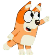 BingopointOpening