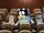 Movies/Gallery