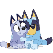 Socks and Bluey Hug