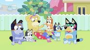 Bandit, Stripe, and Pat suffer through the makeover.