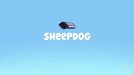 Sheepdog (Title Card)