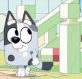 Muffin Cone-Muffin's Tail