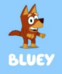 Rusty Bluey Friends Plush 8