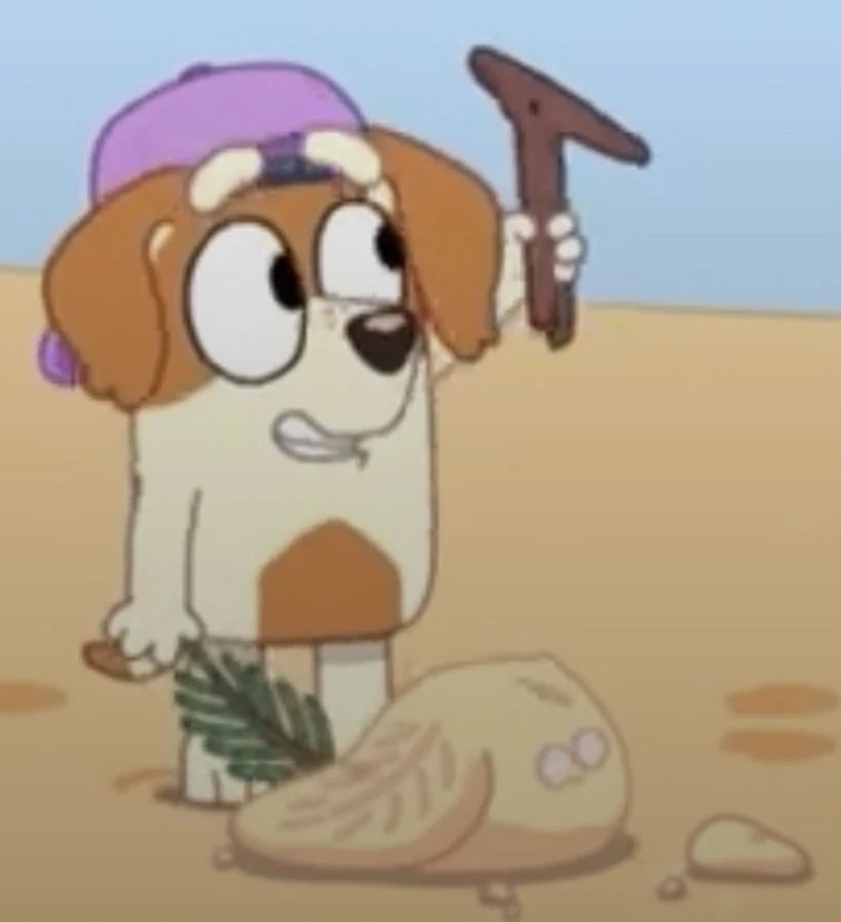 Cookie Wiki Bluey Fandom