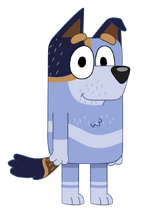 The Heeler Family's House, Bluey Wiki, Fandom