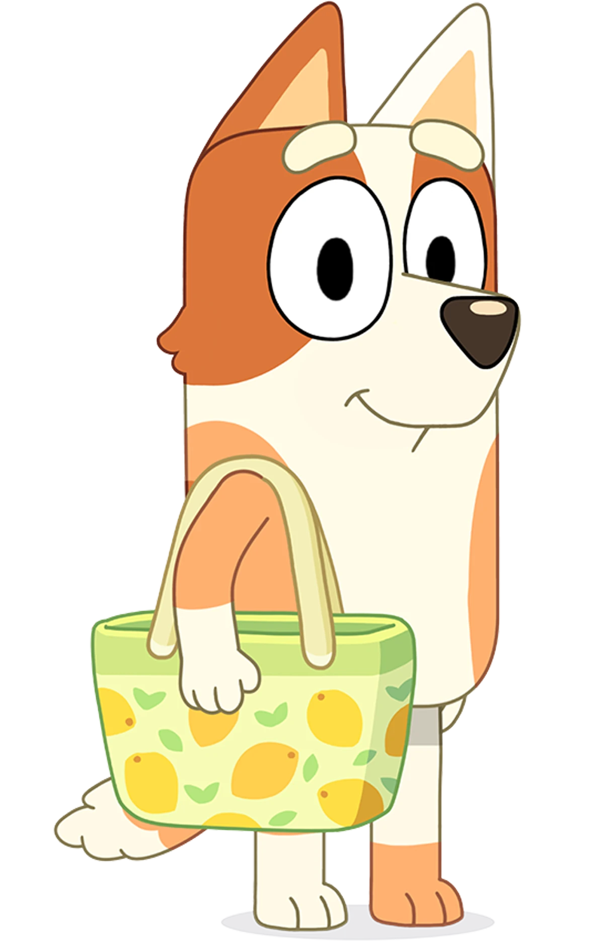 Brandy Cattle Bluey Wiki Fandom