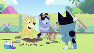 The first stump has been removed. Pat, Stripe, and Bandit celebrate.