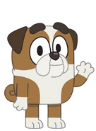 Winton | Bluey Wiki | Fandom