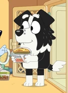 Mackenzie's Dad holding pack - Curry Quest.png (531 KB)