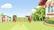 Cricket-67