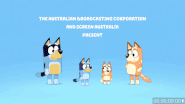 The animatic