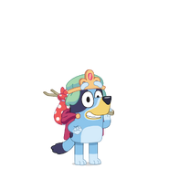 Bluey-Adventure-Princess