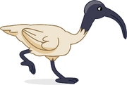 Bin Chicken