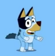 Bluey's pilot design