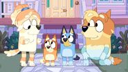 Frisky, Bingo, Bluey, and Uncle Rad.