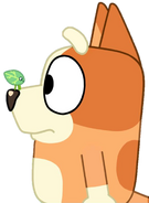 BingoandLeafbug