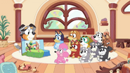 Coco in her class in the episode Calypso with her classmates Bluey, Indy, Rusty, Honey, The Terriers, Chloe and Pretzel, with Calypso leading the class.