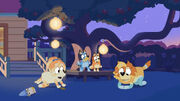 Torch mouse