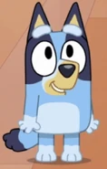 C2F7735F-CE46-4FE5-AC32-24CD97A808B1.jpg (159 KB) As Mini Bluey.