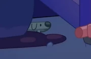 Long Dog Easter Egg appearing in .