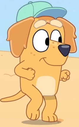 Stickbird-Cookie's Friend A