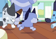 An animation error of Socks