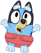 Bébé Bluey