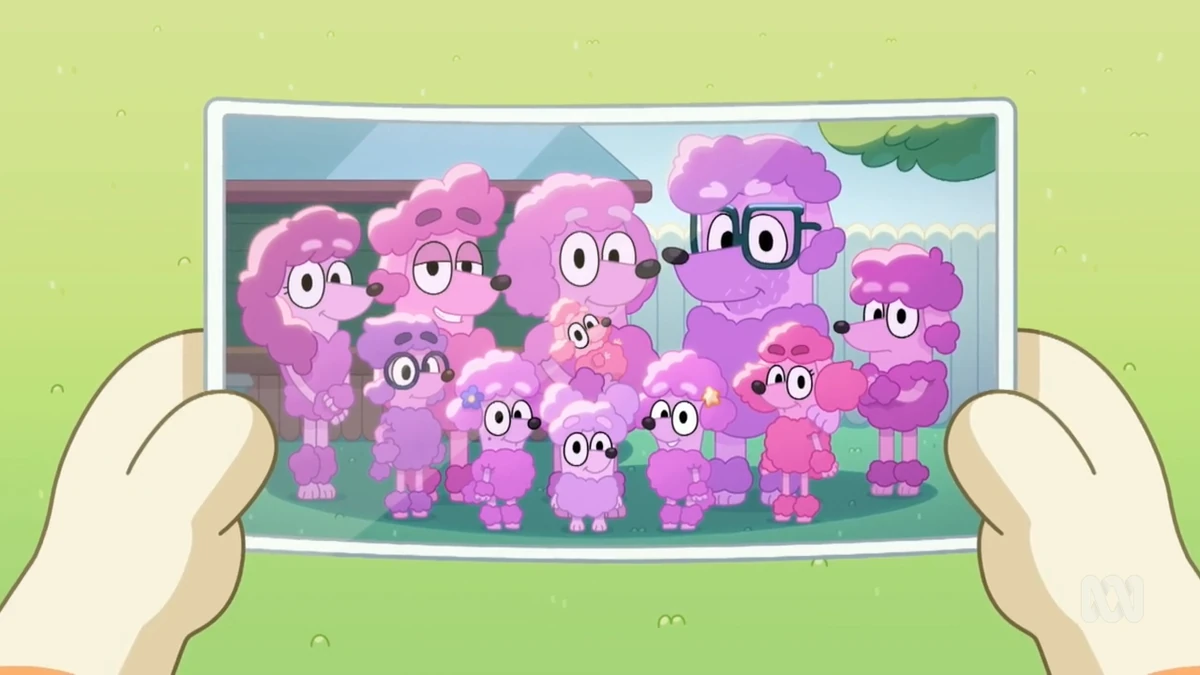 Poodle family | Bluey Wiki | Fandom