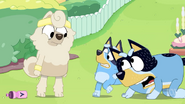 Wendy: "That... will not... happen... twice." Bandit: "Ba-a-a-a-a!"