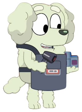 Checkout-Dog