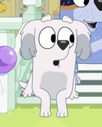 Sheila PTP.png (545 KB)