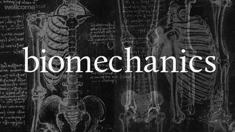 Bone biomechanics A Big Picture film by the Welcome Trust