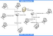Wiki-etworks