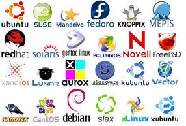 linux list