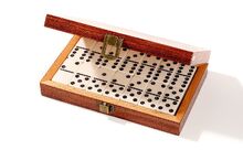 Dominoes-camphorcase primary