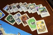 Catancards.jpg