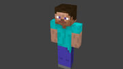 Steve 80