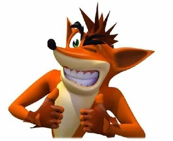 Crash bandicoot