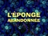 L'Éponge abandonnée