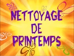Nettoyage de printemps