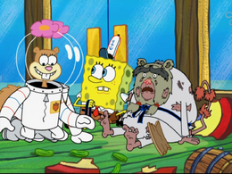 Sandy's overlapping body in The Way of the Sponge