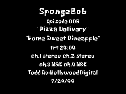 SB 005 SLATE