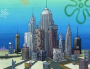 NewKelpCity