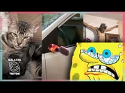 Recopilación de vídeos que utilizan el audio.