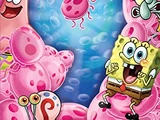 The Complete Ninth Season