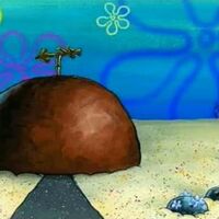 Casa De Patricio Bob Esponja Wiki Fandom Los amigos son lo más importante para bob esponja, por lo que no dudará en salir de la comodidad de su hogar en fondo de bikini, junto con patricio, para adentrarse en un mundo desconocido, arriesgando sus vidas, para salvar a su amigo de. casa de patricio bob esponja wiki